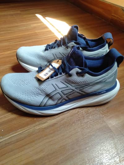 Asics Gel Nimbus 25