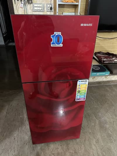 WAVES WR-309
