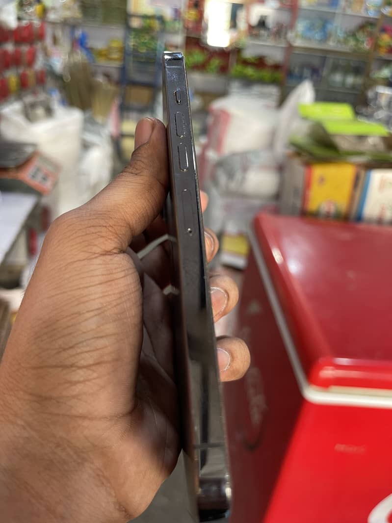 Apple iPhone 13 Pro Max 3