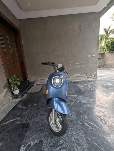 scooty
