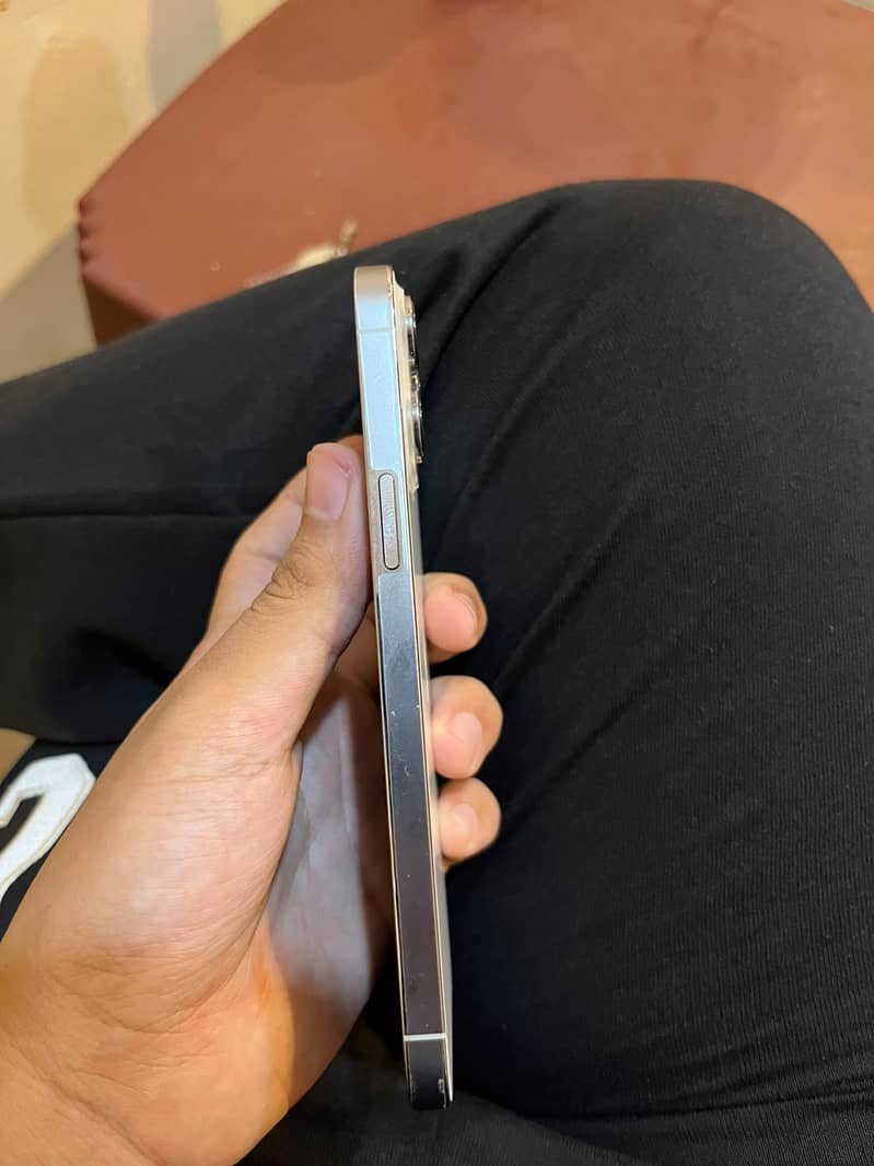 Apple iPhone 13 Pro Max 2
