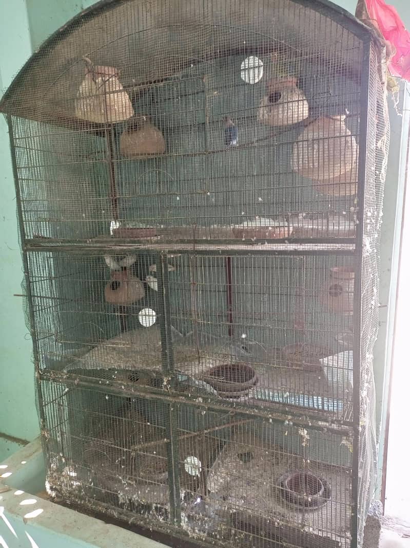 2 cage 0