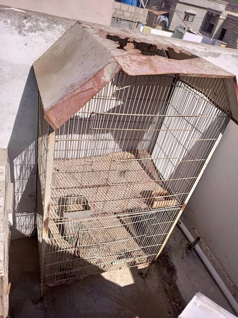 2 cage 1