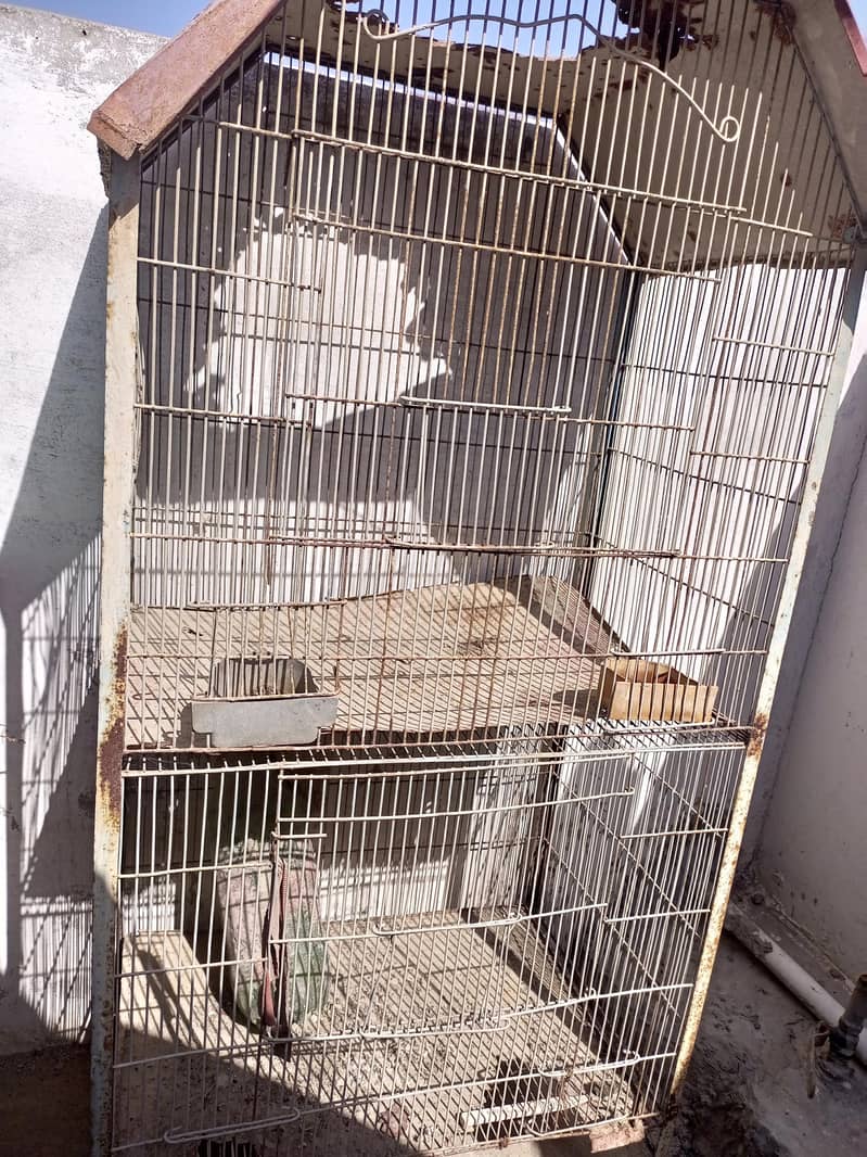 2 cage 2