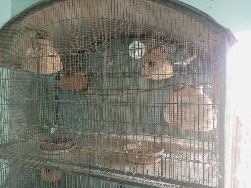 2 cage 5