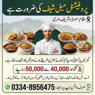 Need professional cook/chef
