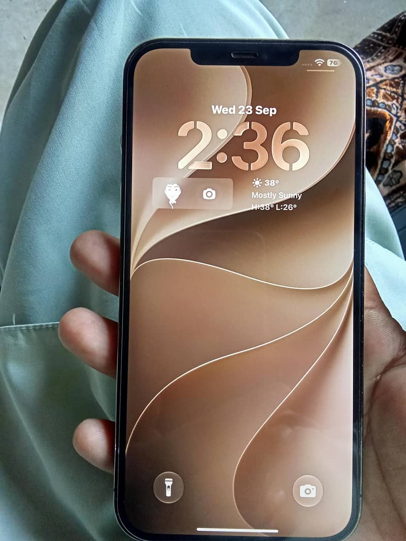 Apple iPhone 12 Pro Max 0