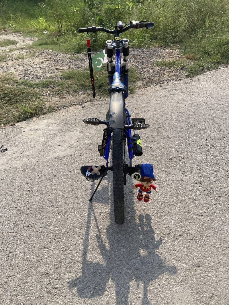 VIVA IMPORTED BICYCLE. FULL SIZE 1