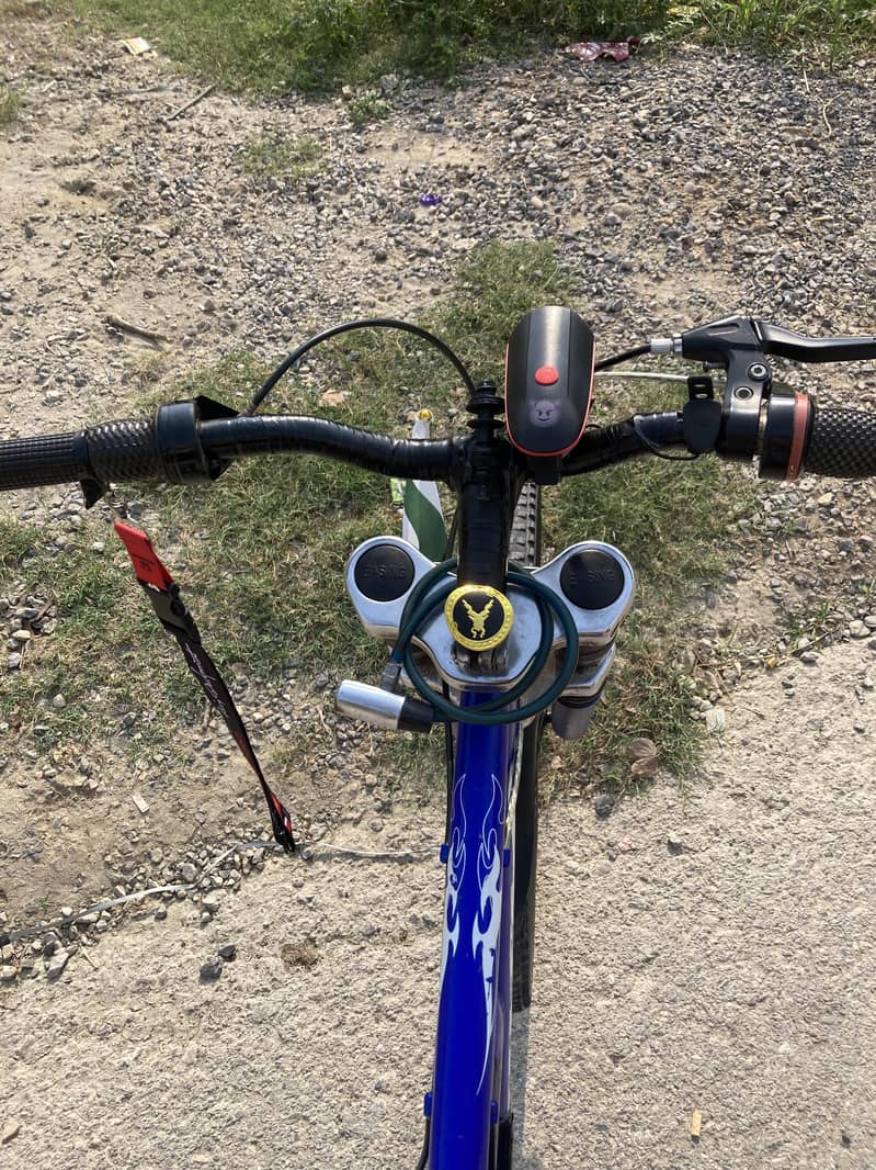 VIVA IMPORTED BICYCLE. FULL SIZE 4