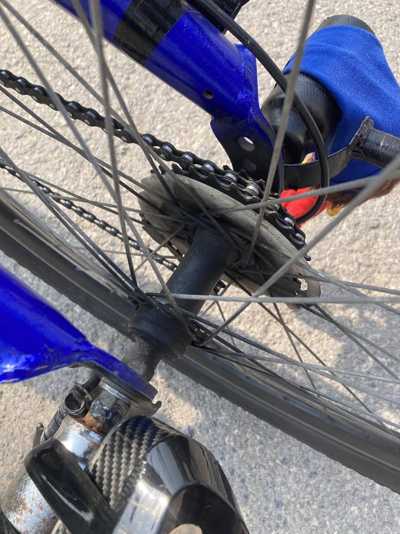 VIVA IMPORTED BICYCLE. FULL SIZE 6