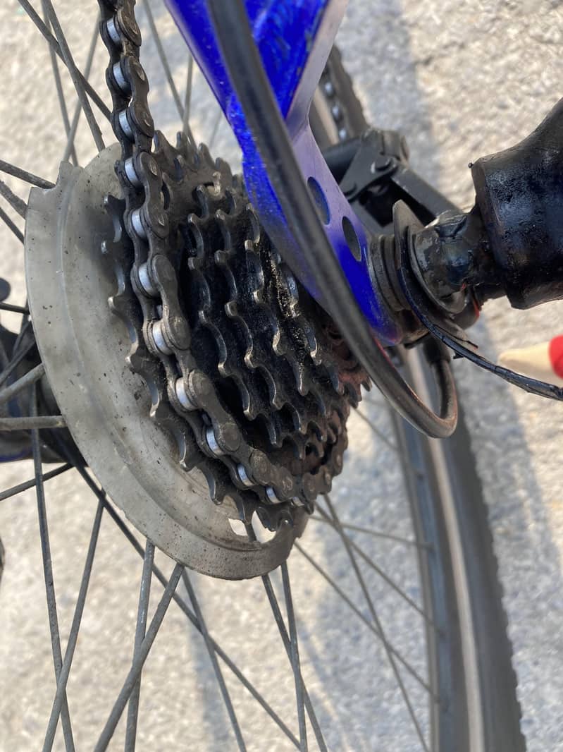 VIVA IMPORTED BICYCLE. FULL SIZE 7