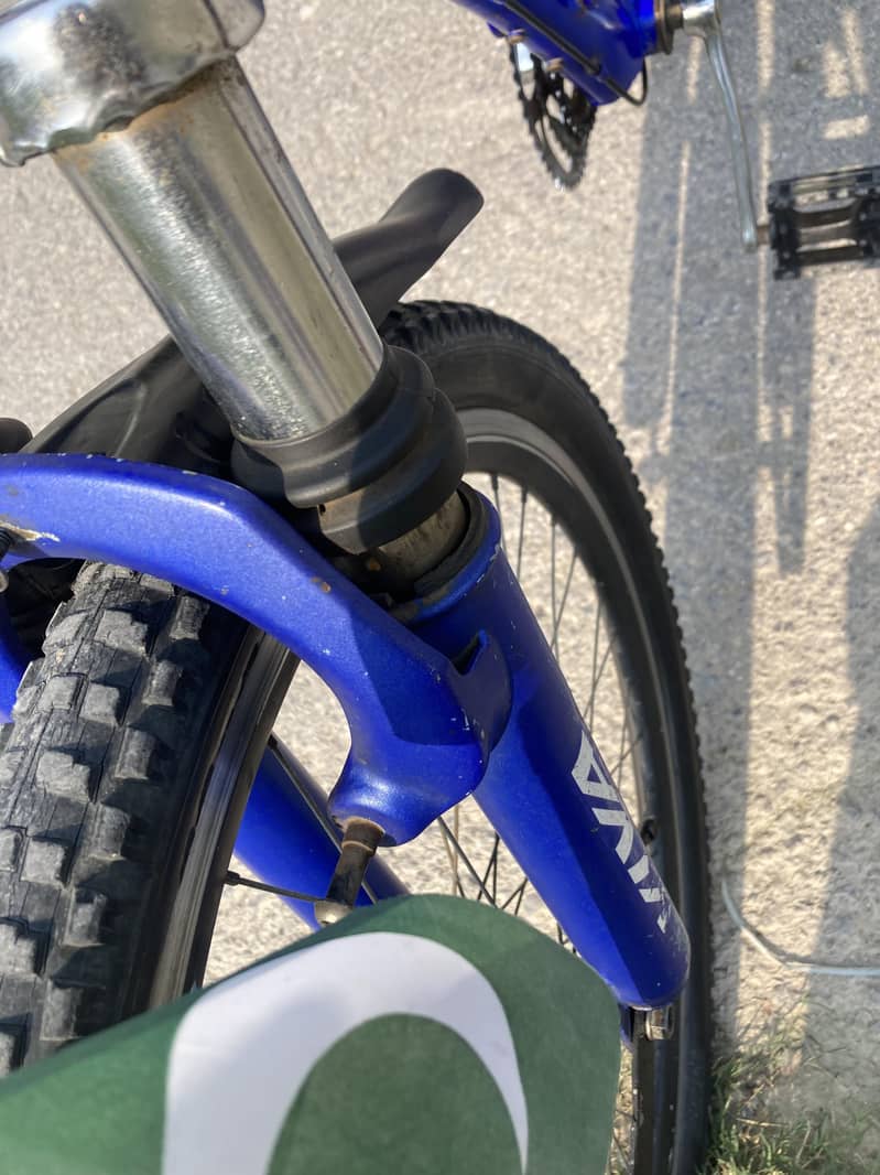 VIVA IMPORTED BICYCLE. FULL SIZE 8