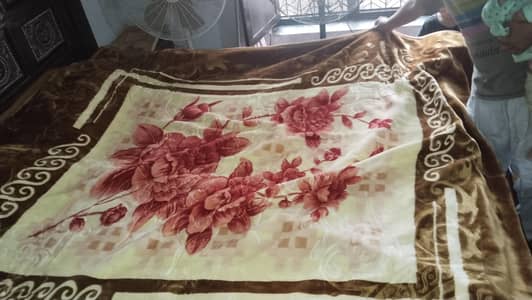 new cambal full size