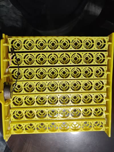 •	Incubator 112 eggs Automatic