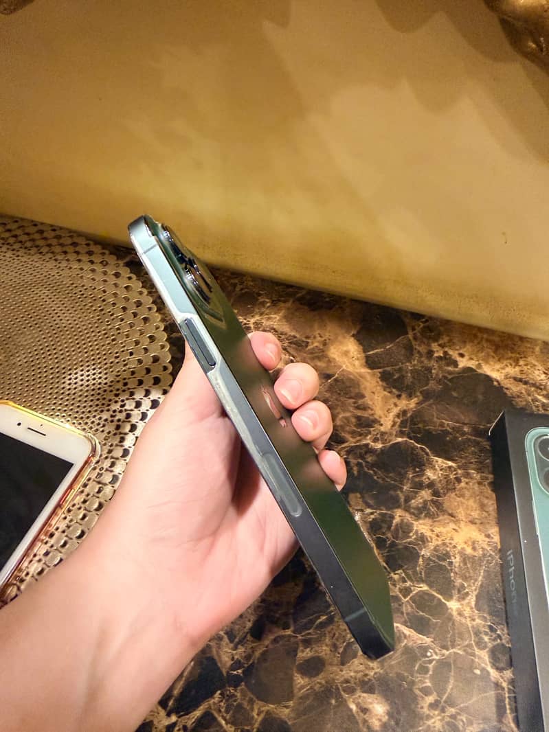 Apple iPhone 13 Pro Max 1