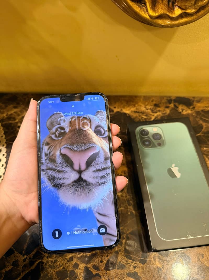 Apple iPhone 13 Pro Max 5