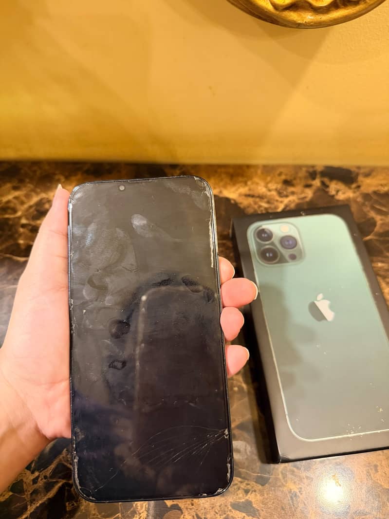 Apple iPhone 13 Pro Max 7