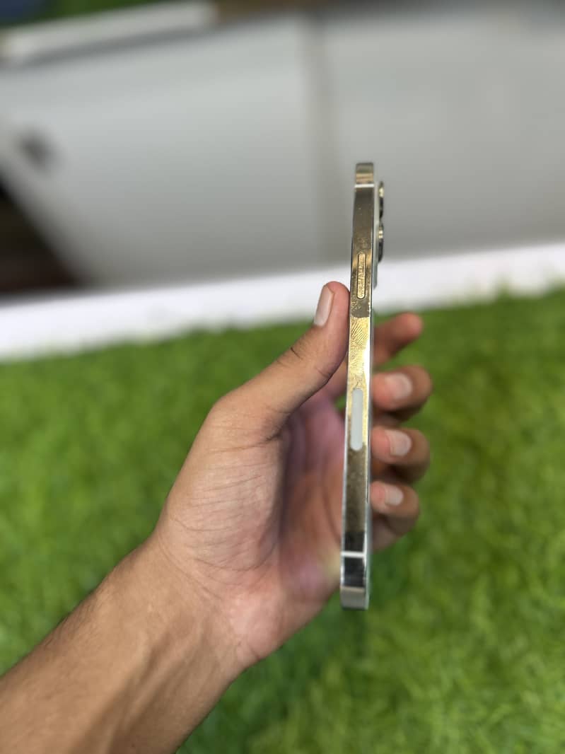 Apple iPhone 13 Pro Max 6