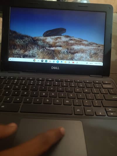 dell chrome book new