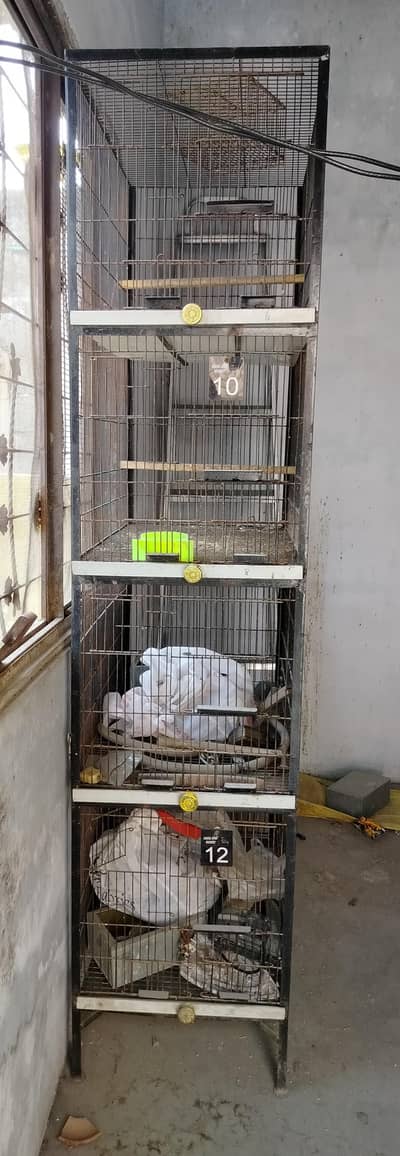 cage 4 portion