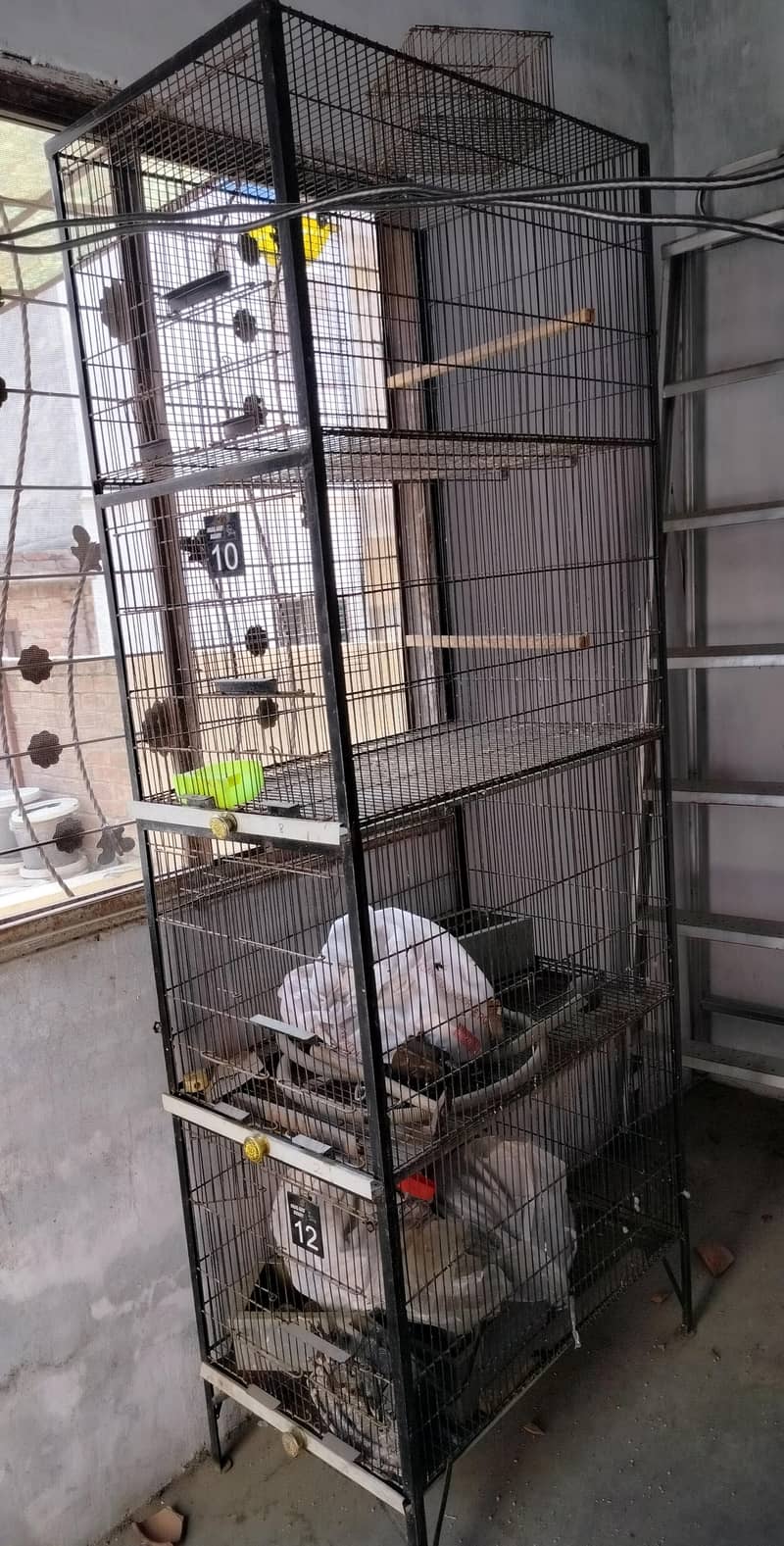 cage 4 portion 1