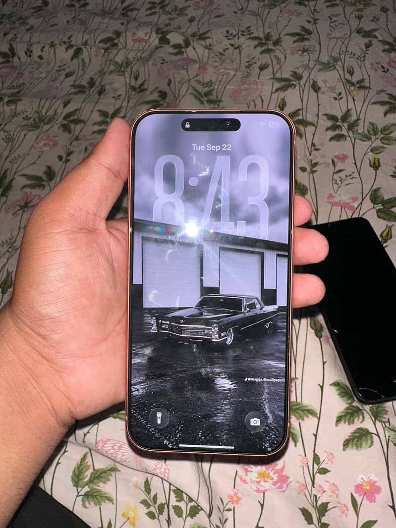 Apple iPhone 17 Pro Max 2