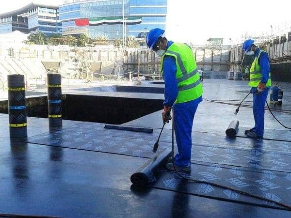 Complete Waterproofing & Termite Control Solutions 2