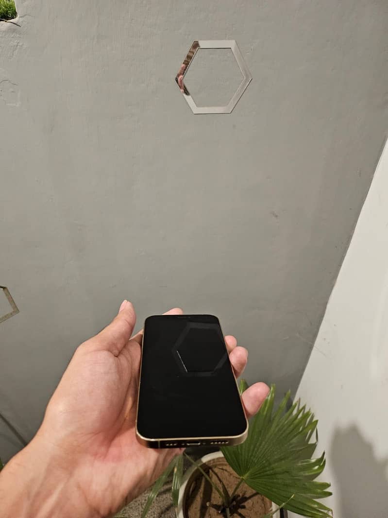 Apple iPhone 12 Pro 4