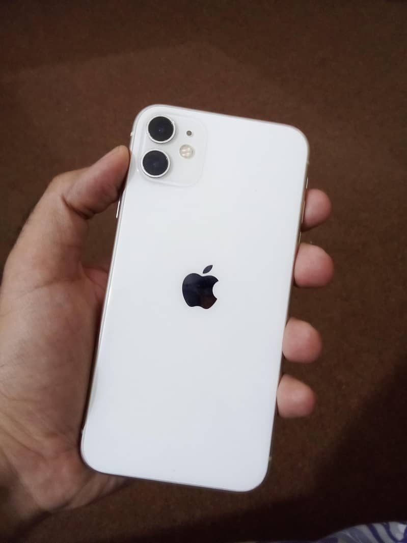 iPhone 11 0
