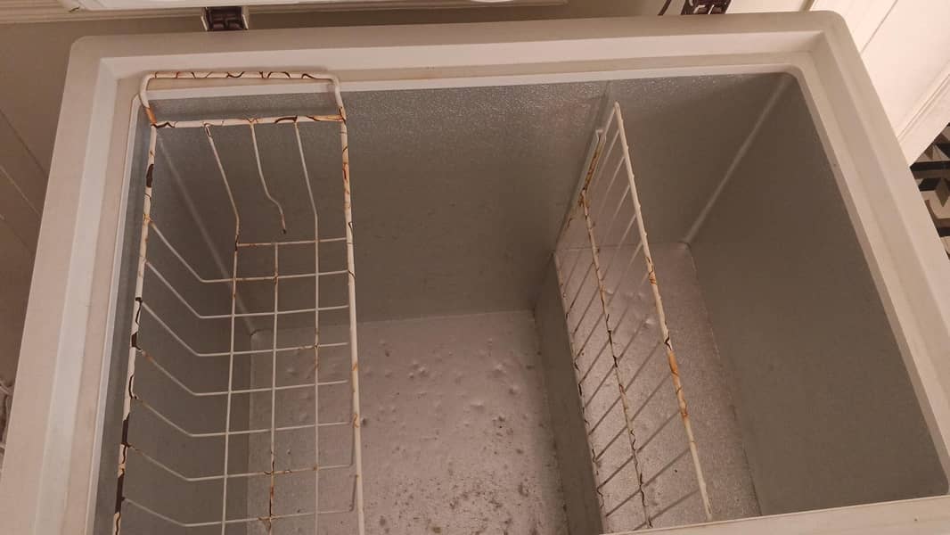 deep freezer 1