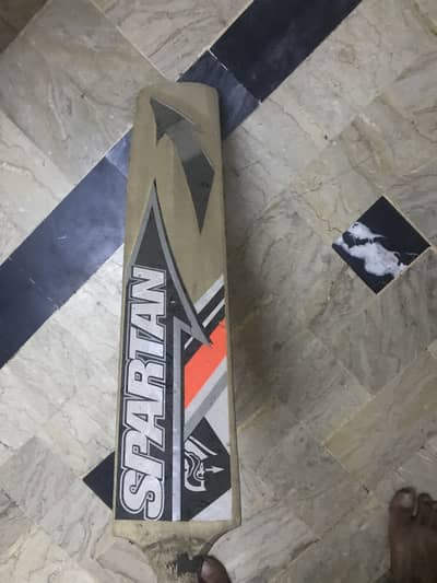 HARD BALL BAT