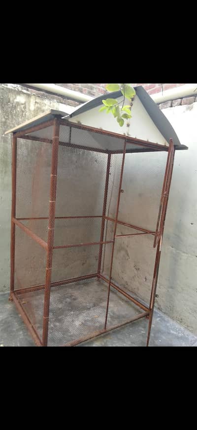 Large Heavy Iron Cage (70x40 inches) with Roof