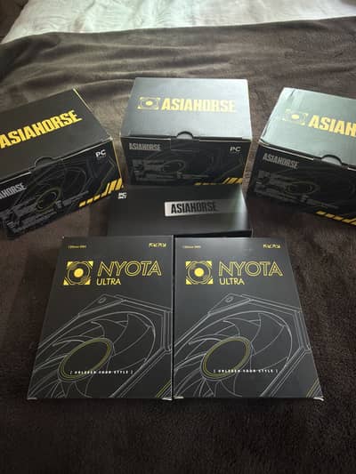 Asia Horse Nyota Ultra Fans