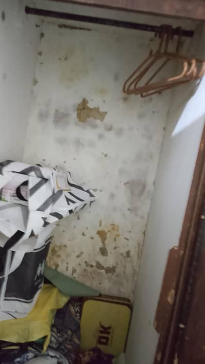 3 door wooden wardrobe for sale in Gujranwala