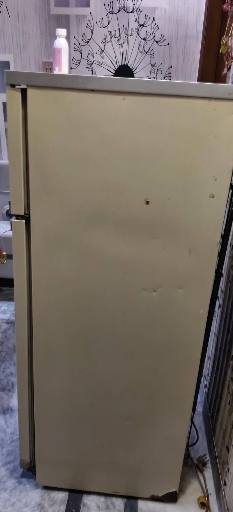 Philips Small Fridge 2
