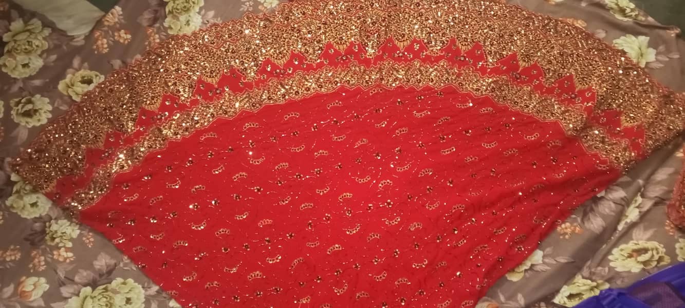 lehnga 1
