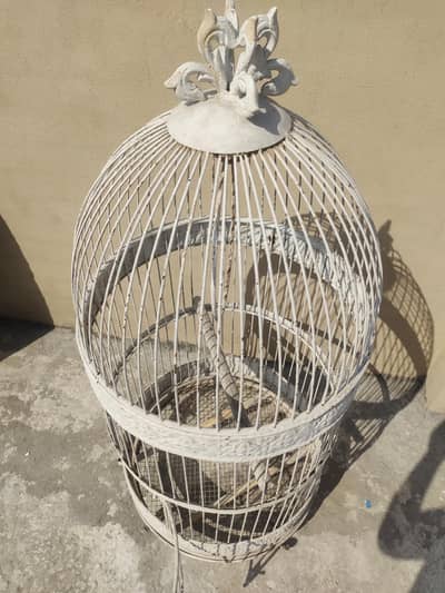 Iron cage