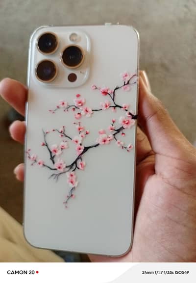 Apple iPhone 13 Pro