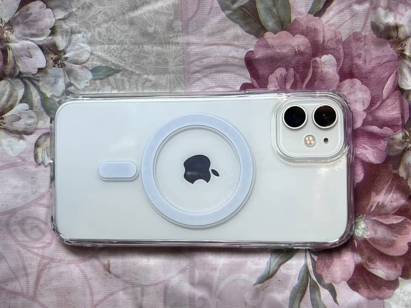 iPhone 11 0