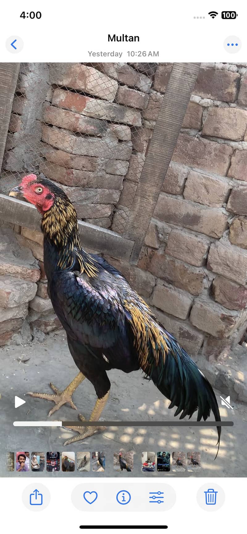 Sawa patha 1