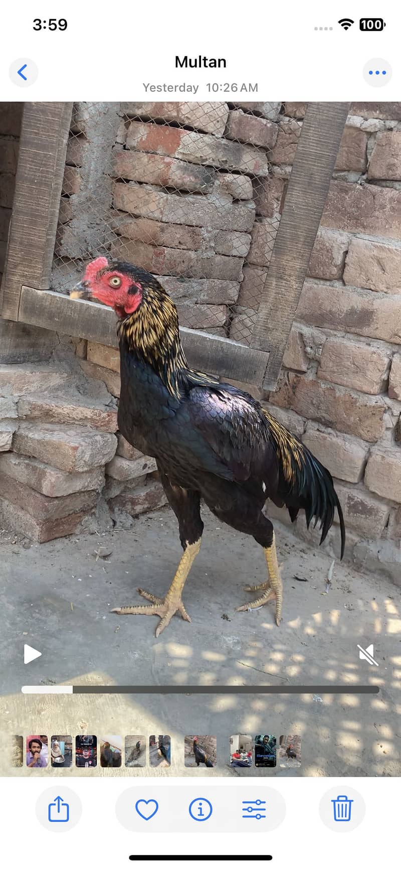 Sawa patha 2