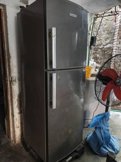 Electrolux Full size fridge