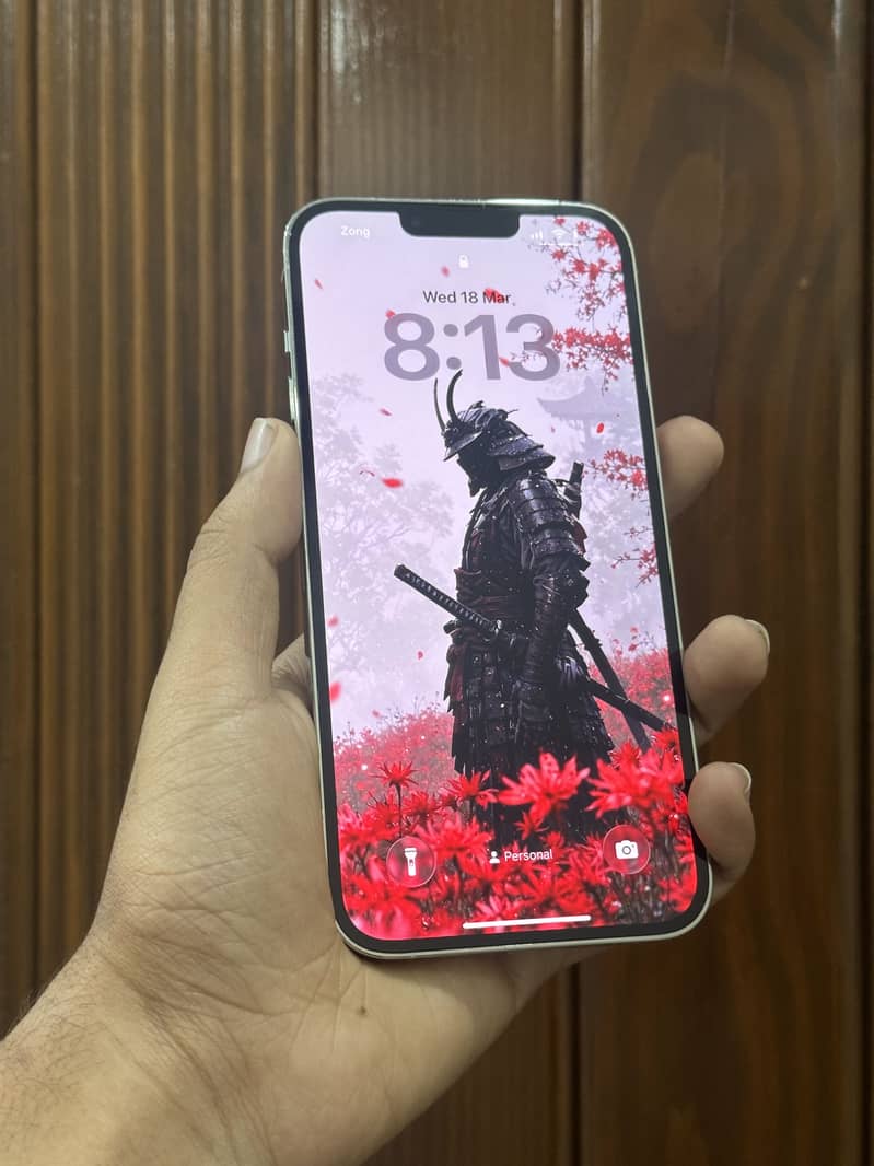 Apple iPhone 13 Pro Max 1