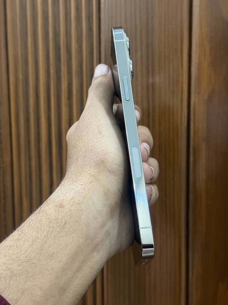 Apple iPhone 13 Pro Max 4