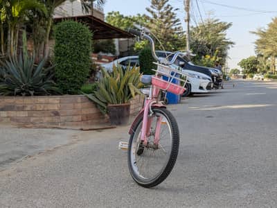 Champion 20" Pink Bicycle for Girls - Imported Aluminum Frame
