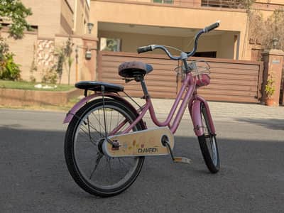 Champion 20" Pink Bicycle for Girls - Imported Aluminum Frame