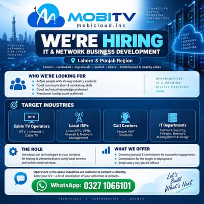 IT & Network Sales Professional
