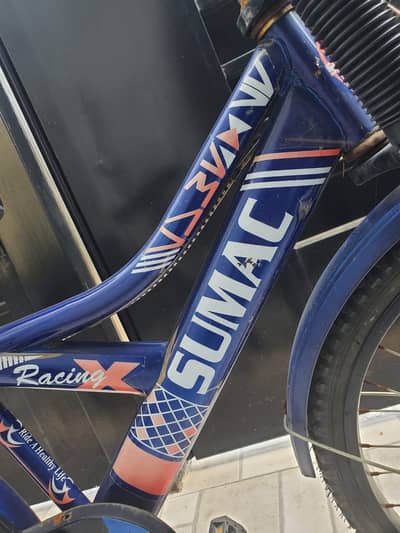 Mountain bicycle
