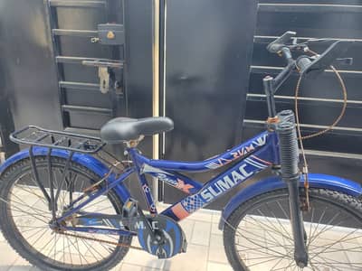 Mountain bicycle
