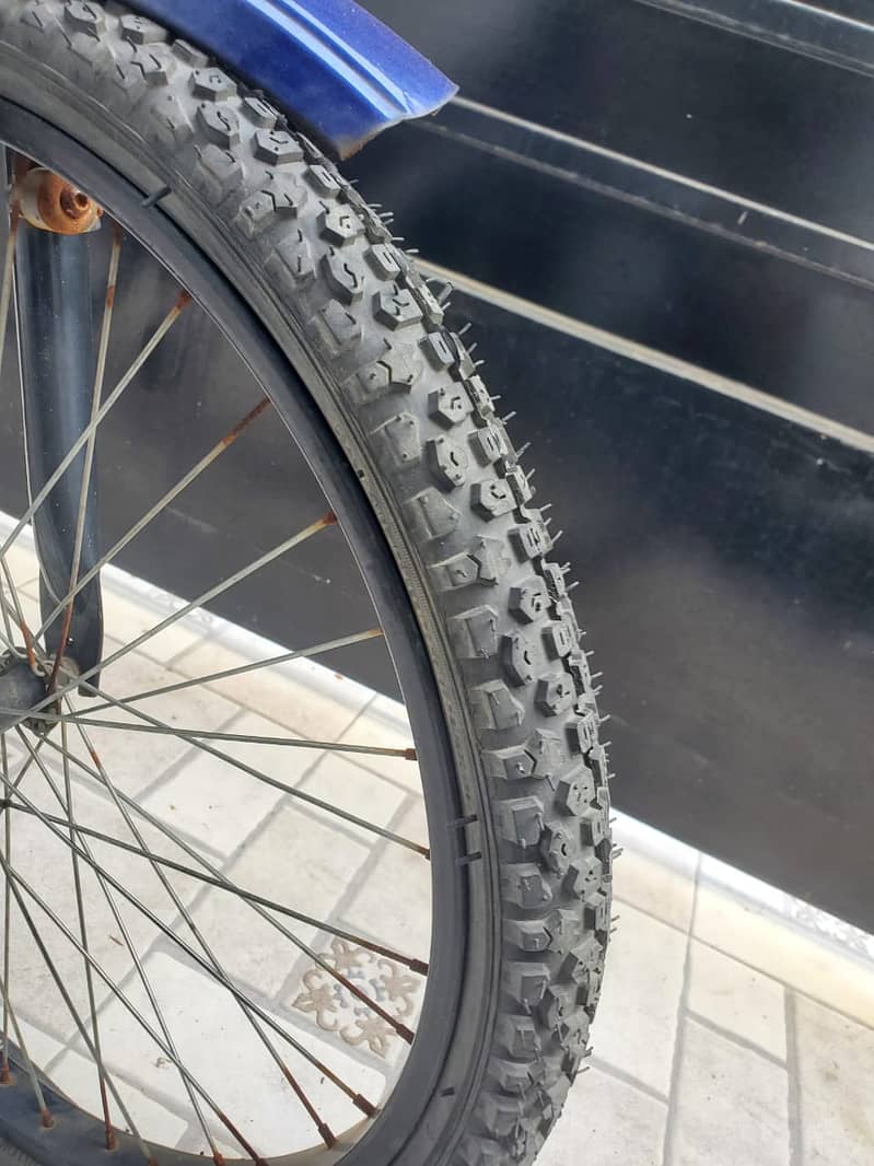 Mountain bicycle 3